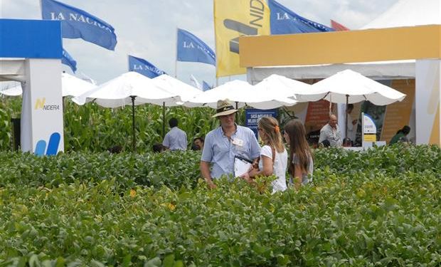 La excelencia en las variedades presentadas es una de las características de la muestra.Foto:LA NACION/Expoagro.