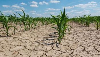 El clima en Argentina en 2021: pocas lluvias y una tendencia "calurosa" que se consolida