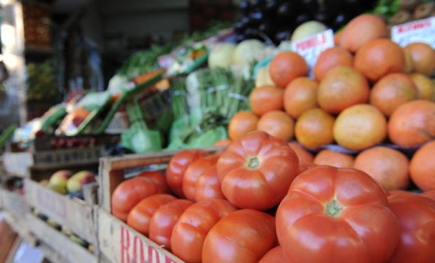 Amplio rechazo a la importación de tomate