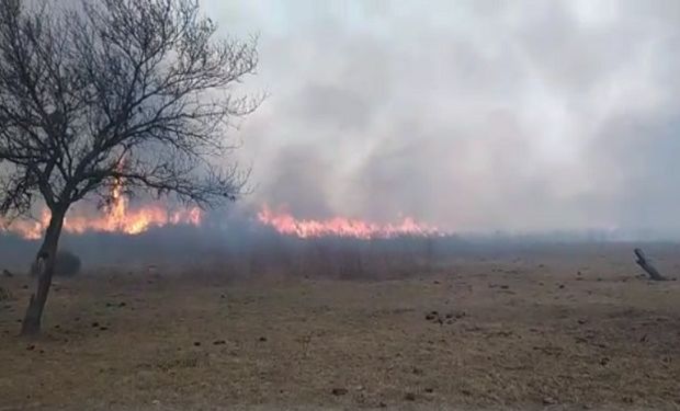 El humo de las islas invadió a Rosario y los productores advierten: “La ‘pamperización’ de los humedales es una mentira”