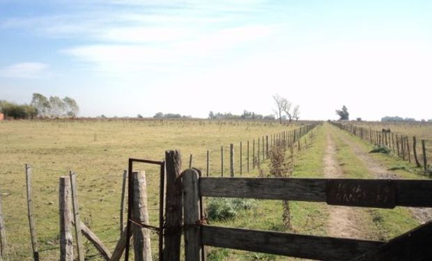 Cortocircuito entre entidades del agro y la provincia de Buenos Aires por una medida de ARBA.