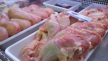 Según una encuesta, en los hogares se consume más pollo que carne vacuna