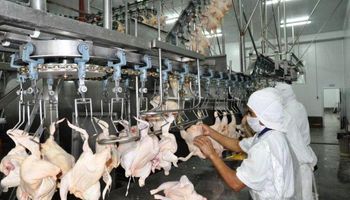 Argentina le podrá vender a México