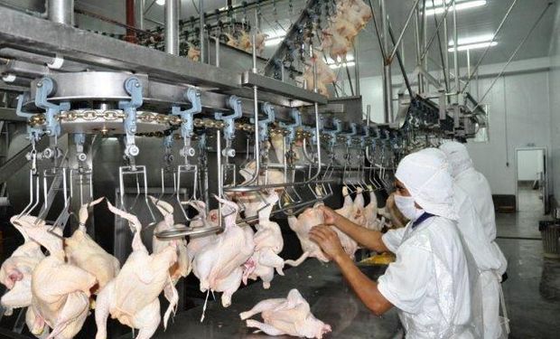 Venezuela pagó más por los pollos argentinos