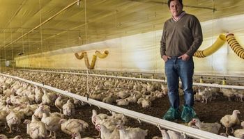 Flexibles al cambio: de la producción de granos a vender pollos y balanceado