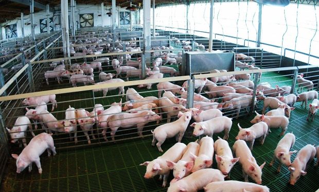 Se fijó un nuevo aumento salarial para los trabajadores de la actividad porcina