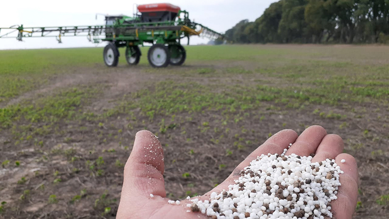 noticiaspuertosantacruz.com.ar - Imagen extraida de: https://news.agrofy.com.ar/noticia/211945/superavit-campo-argentino-cuantos-kilos-nutrientes-se-reponen-cada-100-que-se-sacan