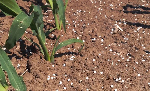 La nueva desregulación que impacta directo en el campo: lo más importante y curioso que cambió para un insumo clave del agro