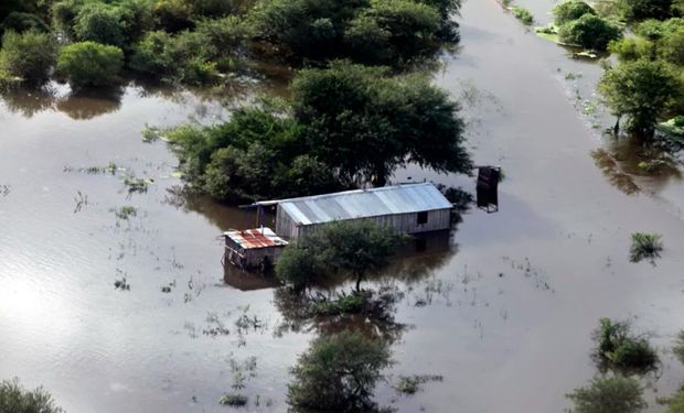 Chaco se encuentra en emergencia agropecuaria.