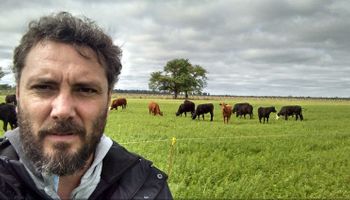 Las señales de alerta que aparecen para el negocio ganadero, bajo la mirada de un ex funcionario nacional: también hay buenas