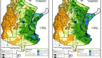 Zona núcleo: reservas adecuadas a óptimas impulsan el trigo