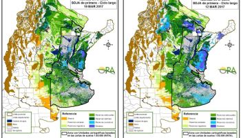 Se mantienen las reservas óptimas para soja
