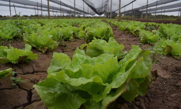 Más de 200 personas debatieron acerca de la planificación productiva en zonas de resguardo ambiental.