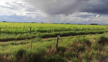 Vuelve el frío, ¿se van las lluvias?