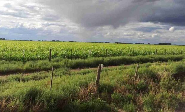 Vuelve el frío, ¿se van las lluvias?