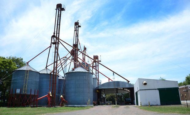El cambio que puede beneficiar a las cooperativas agrícolas: Diputados dio dictamen a la incorporación al régimen MiPyME