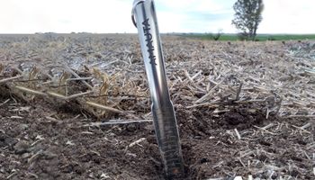 A los 10 años, la empresa rosarina del agro que da un giro para atender una nueva etapa en el agro