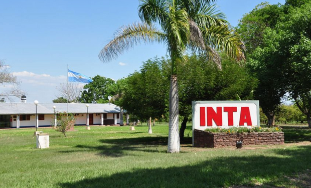El INTA busca nuevos directores en tres regiones: los requisitos para participar