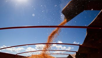 El número que sorprende en el campo: ¿Se puede invertir US$ 1 y obtener un retorno de hasta US$ 10 en agricultura?