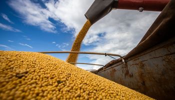 La guerra hizo subir la soja, pero las ventas siguen en el nivel más bajo en 30 años