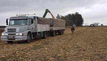El campo generó US$ 36.779 millones en ocho meses: las exportaciones crecieron 13,1 %
