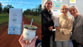 Tres emprendedoras apostaron por la yerba gourmet y lanzaron una marca con identidad patagónica y producción misionera