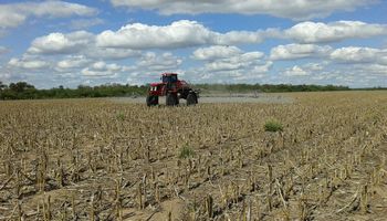 Durante décadas se creyó que era la mejor estrategia para el campo: un estudio ahora la pone bajo la lupa Durante décadas se creyó que era la mejor estrategia para el campo: un estudio ahora la pone bajo la lupa