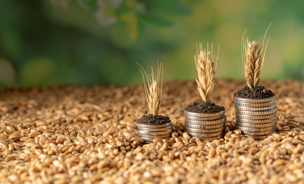 s Letras de Crédito do Agronegócio (LCA) somaram R$ 571,51 bilhões em estoque em maio