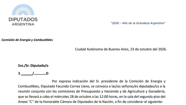 Convocatoria de la Comisión de Energía y Combustibles de Diputados a reunión conjunta
