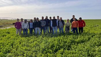 La zona que se transforma en el “corn belt” argentino con una revolución productiva y rindes de hasta 16 toneladas de maíz por hectárea