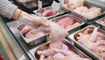 Pollo vs. carne vacuna: el cambio silencioso que ya se refleja en la mesa de los argentinos