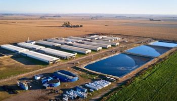 Hito: el establecimiento que genera energía para unos 3000 hogares con desechos del campo y son los primeros en vender créditos de carbono