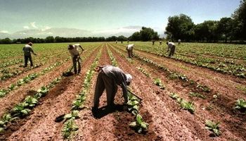 Por qué se celebra el Día del Trabajador Rural y cuánto cobra un peón este año