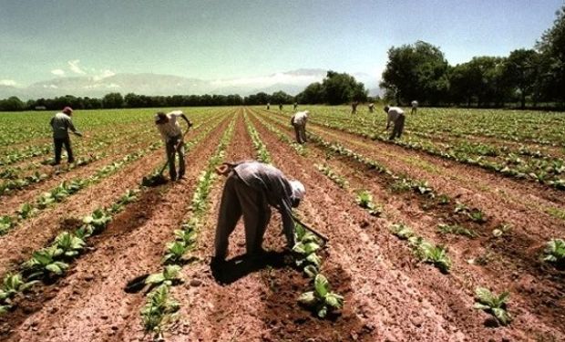 Por qué se celebra el Día del Trabajador Rural y cuánto cobra un peón este año