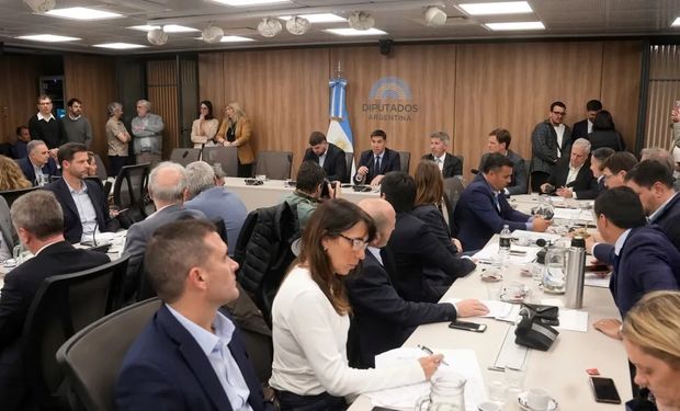 Biocombustibles: el proyecto de ley podría dar un paso clave en Diputados, en medio del rechazo de las pymes