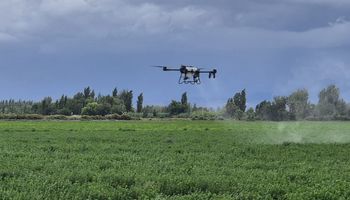 Es el N°1 de Estados Unidos y llega a la Argentina: el nuevo drone pulverizador autónomo con capacidad de 100 litros que alcanza hasta 49 km/h