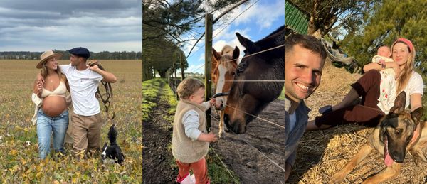Collage familiar en la quinta: nena con caballos, pareja en el campo y padres con bebé y perro