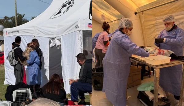 Carpa veterinaria en zona inundada de Chaco: vecinos con perros y veterinarios atendiendo animales