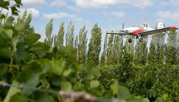 Mendoza busca convertirse en un polo de bioinsumos: instalarán una planta de feromonas para el agro