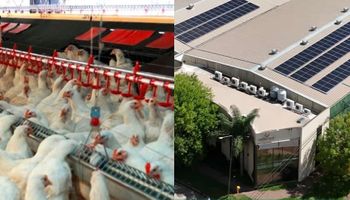 Nació para resolver un problema de los productores y hace 30 años lleva tecnología a todo el país