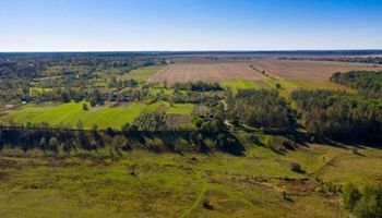 Mercado inmobiliario rural: crecen las consultas, pero se agranda la brecha entre vendedores y compradores
