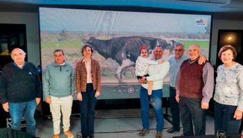 La vaca de Entre Ríos que fue elegida como la mejor de la Región Centro: por qué se volvió una referente para el futuro de la lechería a campo