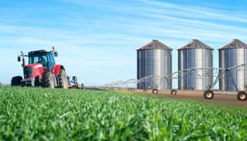 Entidades del campo presionan por una ley que multiplicaría la demanda de maíz
