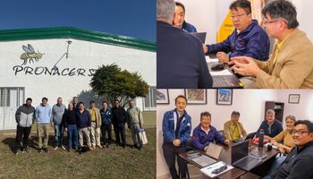La empresa japonesa que lidera el mercado volvió a comprar miel argentina después de una pausa: el sabor y el color que busca el consumidor asiático