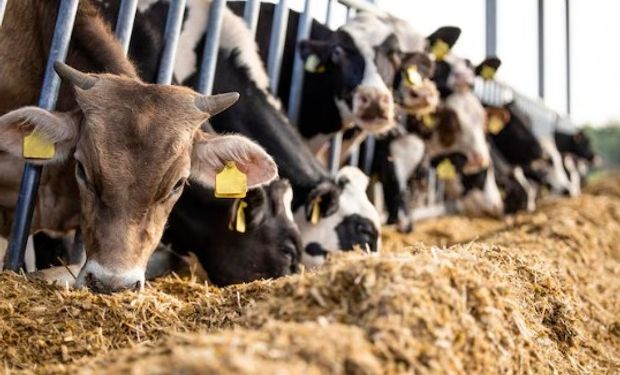 Mueve US$ 15.000 millones y da trabajo a 40.000 personas: la industria del campo que podría duplicarse en cinco años