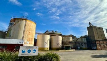"Tiene un enorme potencial productivo": invierten US$ 100 millones para reactivar una histórica planta de Rosario para procesar 465.000 mil toneladas anuales de granos