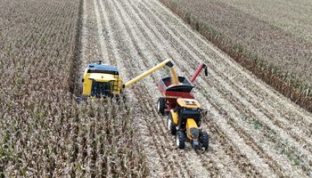 Produtor paranaense triplica produtividade do milho