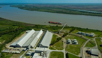 El campo ingresó más dólares: se liquidaron US$ 3000 millones en junio
