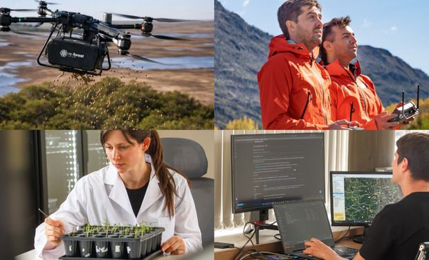 Son argentinos, siembran bosque nativo con drones y semillas tratadas y fueron seleccionados en un desafío global