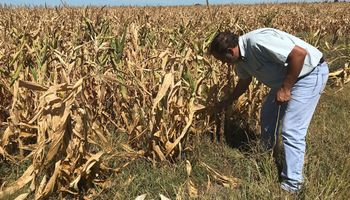 La herramienta para proteger al campo del clima que nació en Córdoba ahora llega a Entre Ríos y podría extenderse a Santa Fe